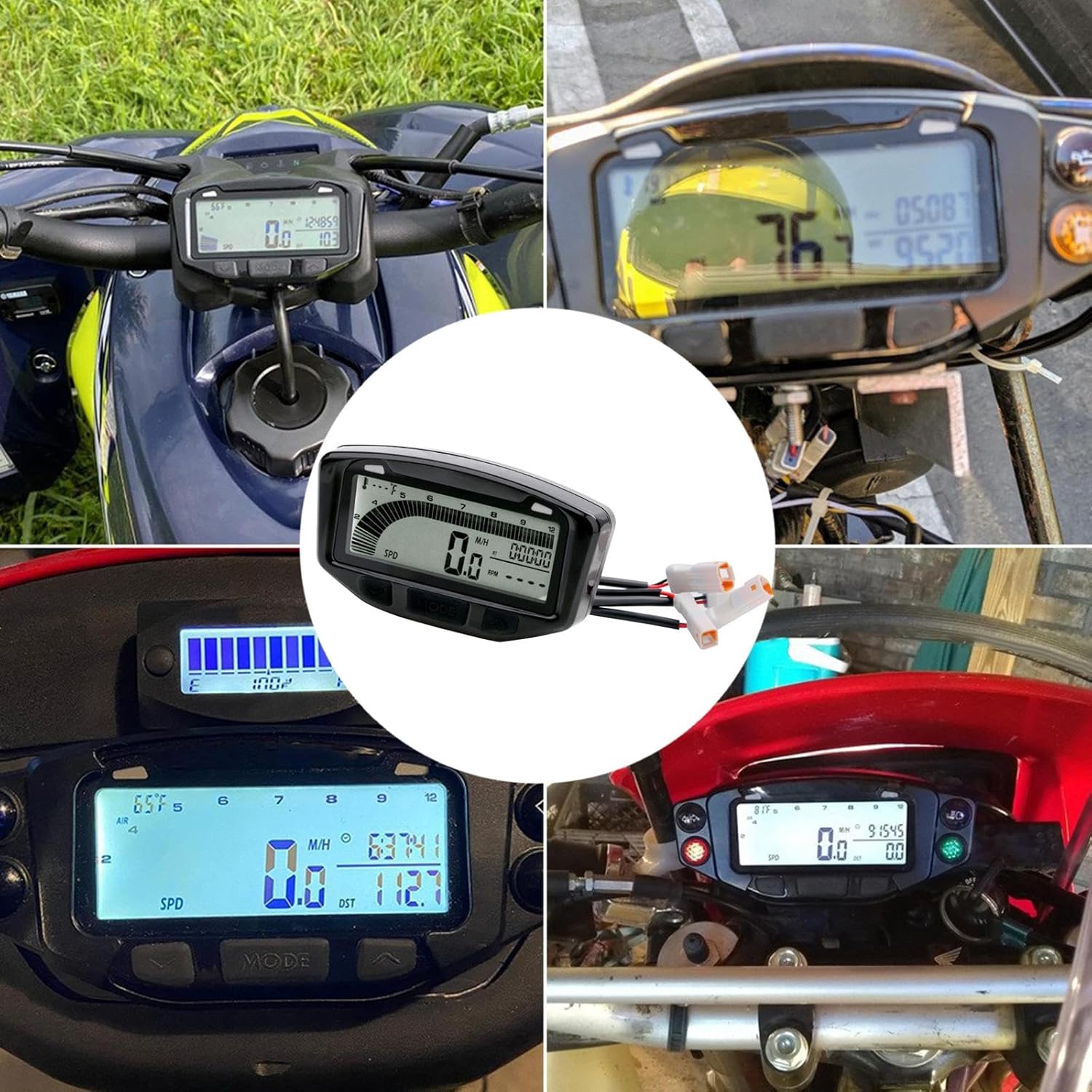 香 5）江戸時代の金蒔絵松に桔梗紋の楕円形 商品のタイトル01